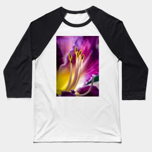 Daylilly Stamens 1 Baseball T-Shirt